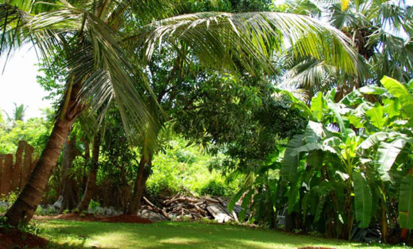 Akshay Bungalow, Alibaug 4